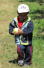 Alexandre apple picking