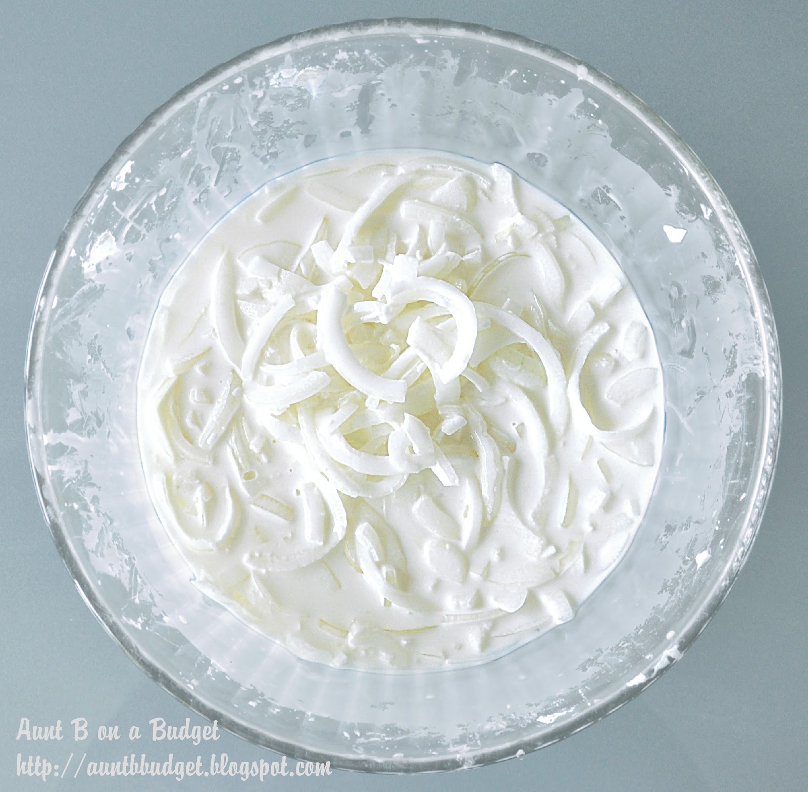 Aunt B on a Budget Crispy Fried Onions