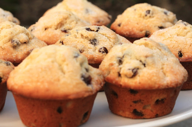 panettone muffins