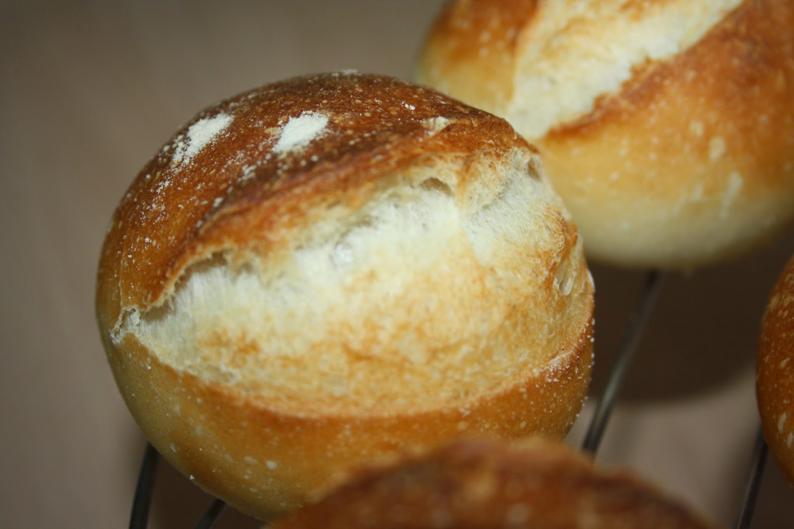 Panecillos con poolish de yogur de X. Barriga UN REGALO AL PALADAR