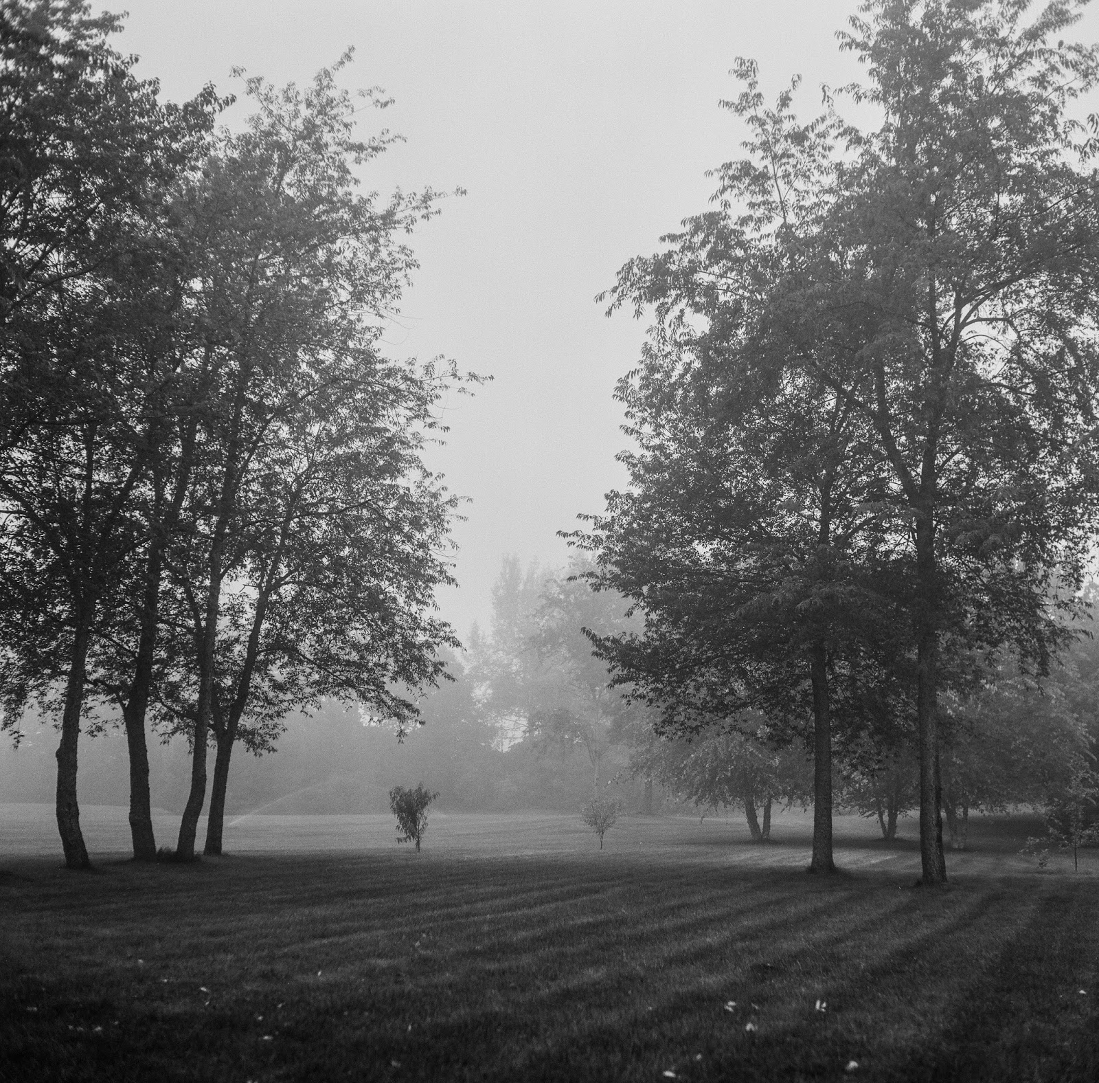 Film Photography Lust Photos I Ve Taken Yashica Mat 124g