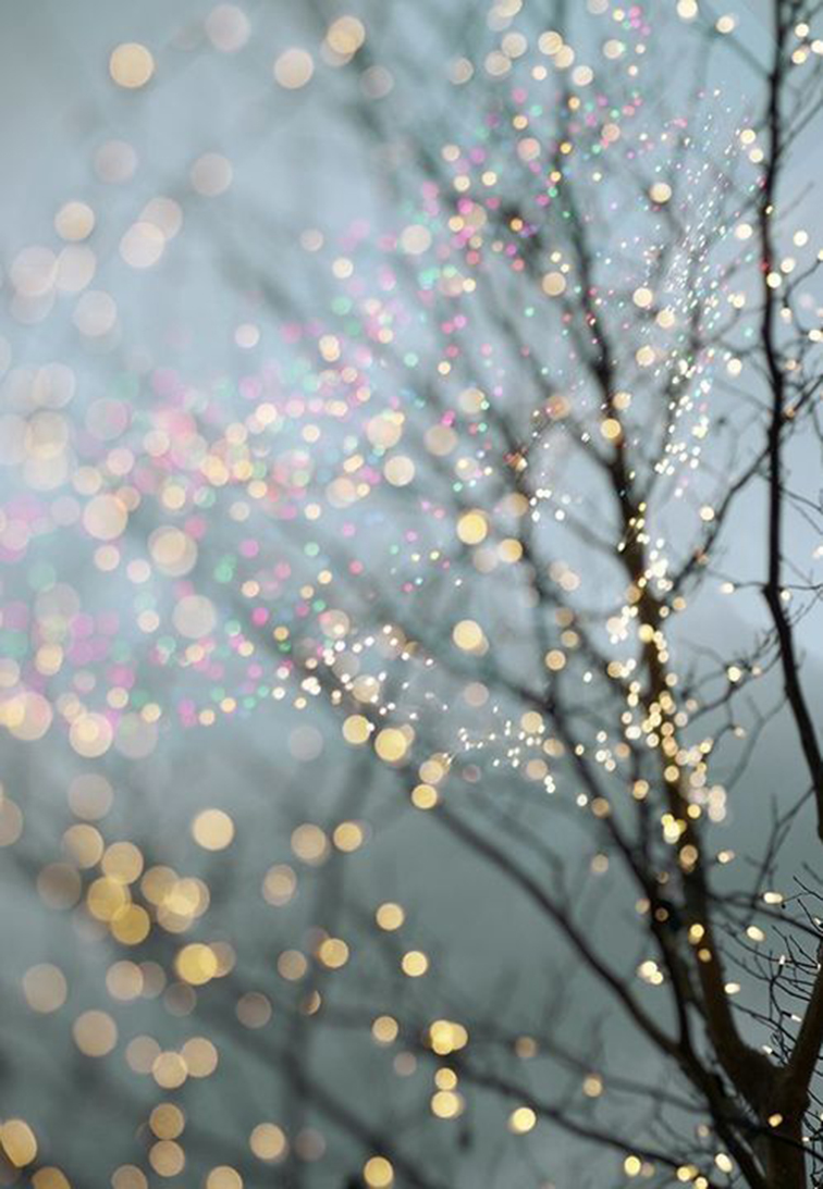 Winter trees, sparkly glare Winter trees, sparkly glare