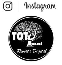 totbonsai Instagram