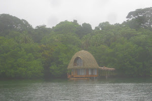 House in the Mangroves