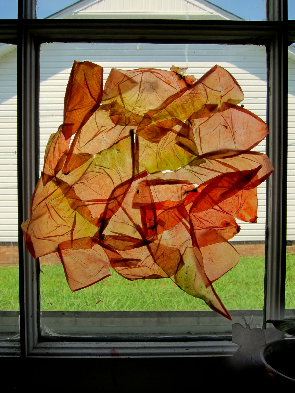 Tomato Paper Craft School House Oils