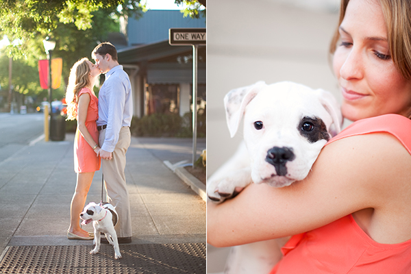 Pet photo session