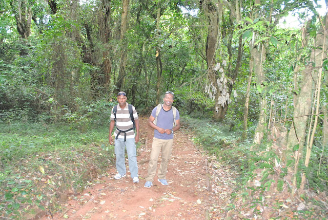 Marangu gate to Mandara hut