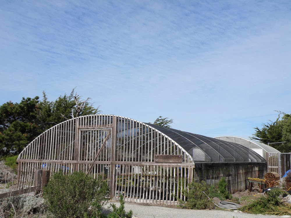 Our Shade House Part 1 A variety of styles