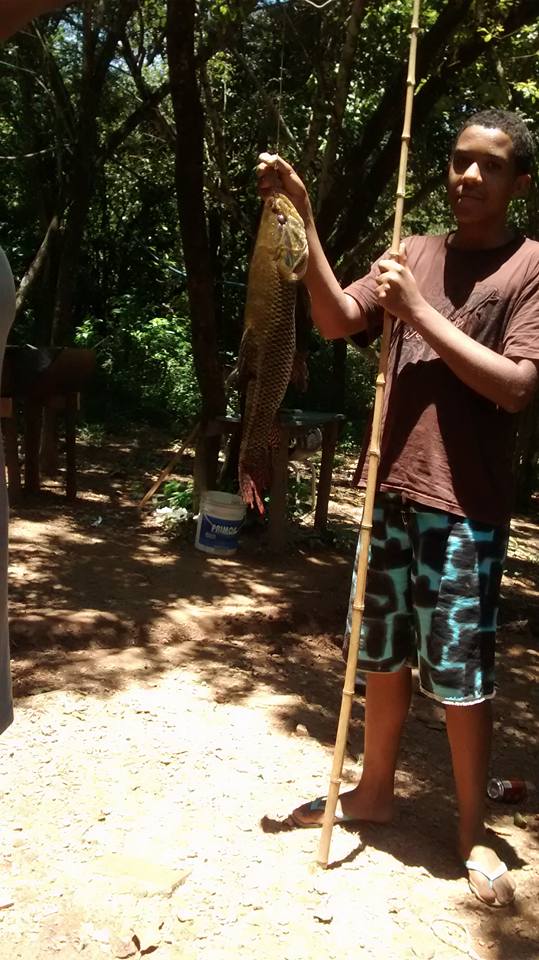 filho de  peixe peixinho  e  o  o  pescador  ai