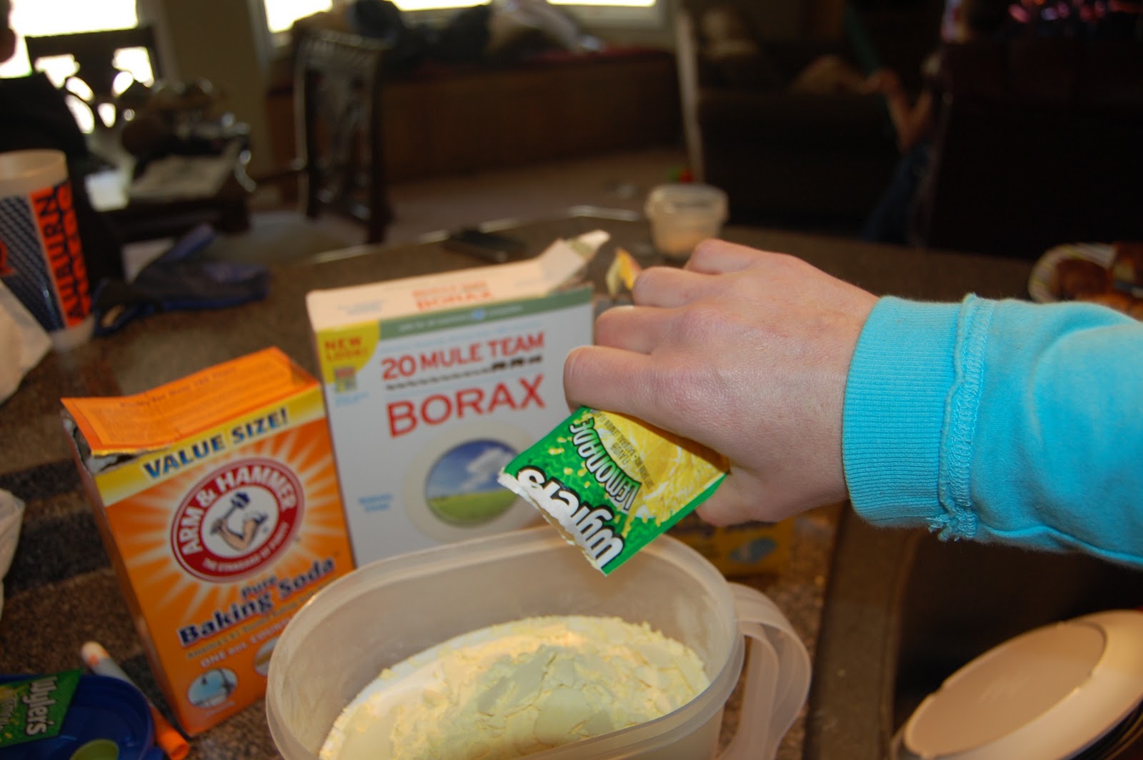 Snips of Snails And Puppy Dog Tails Homemade Dish Detergent