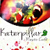 Kolkata Diaries: All roads lead to Katerpillar Resto Cafe