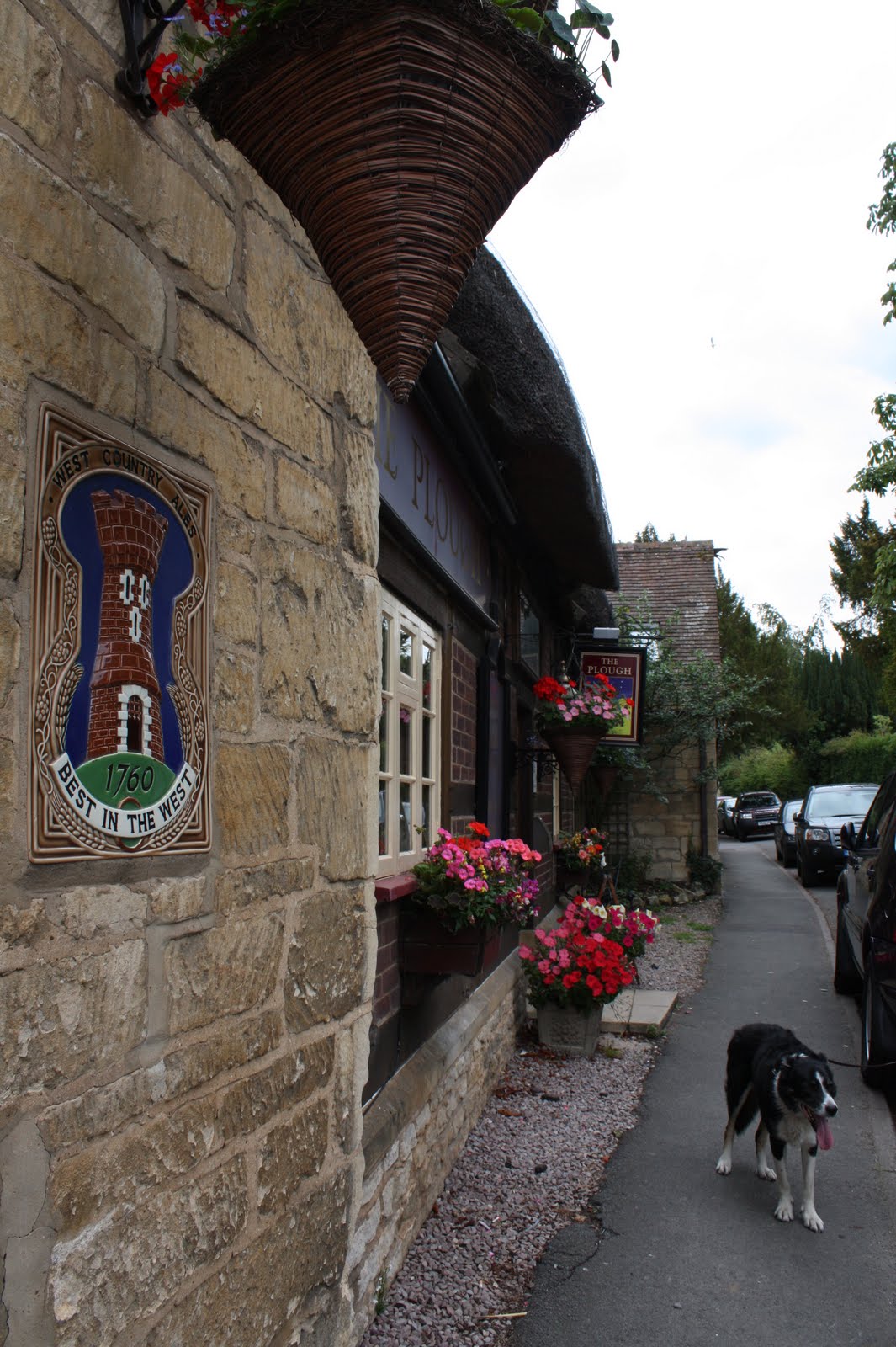 Paws Under the Table Prestbury The Plough Inn