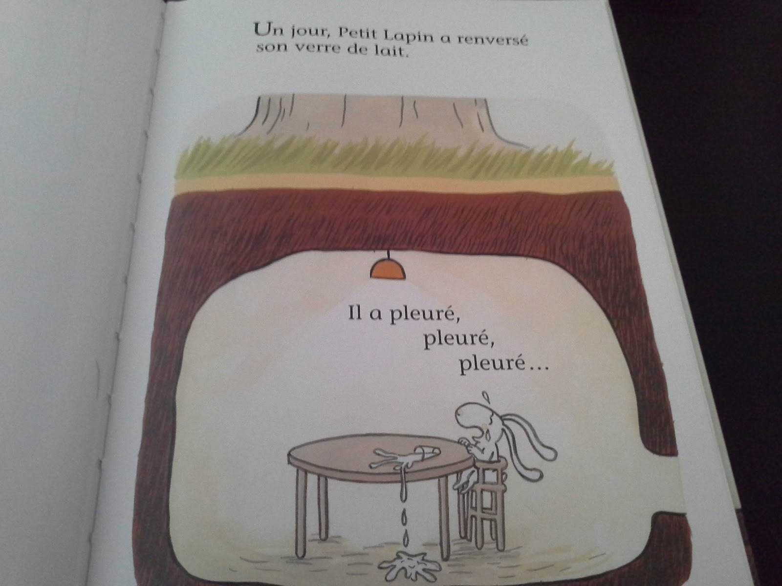 Les lectures de Sanléane C