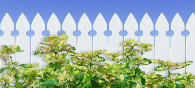 Feng Shui para Vecinos molestos feng shui para vecinos molestos