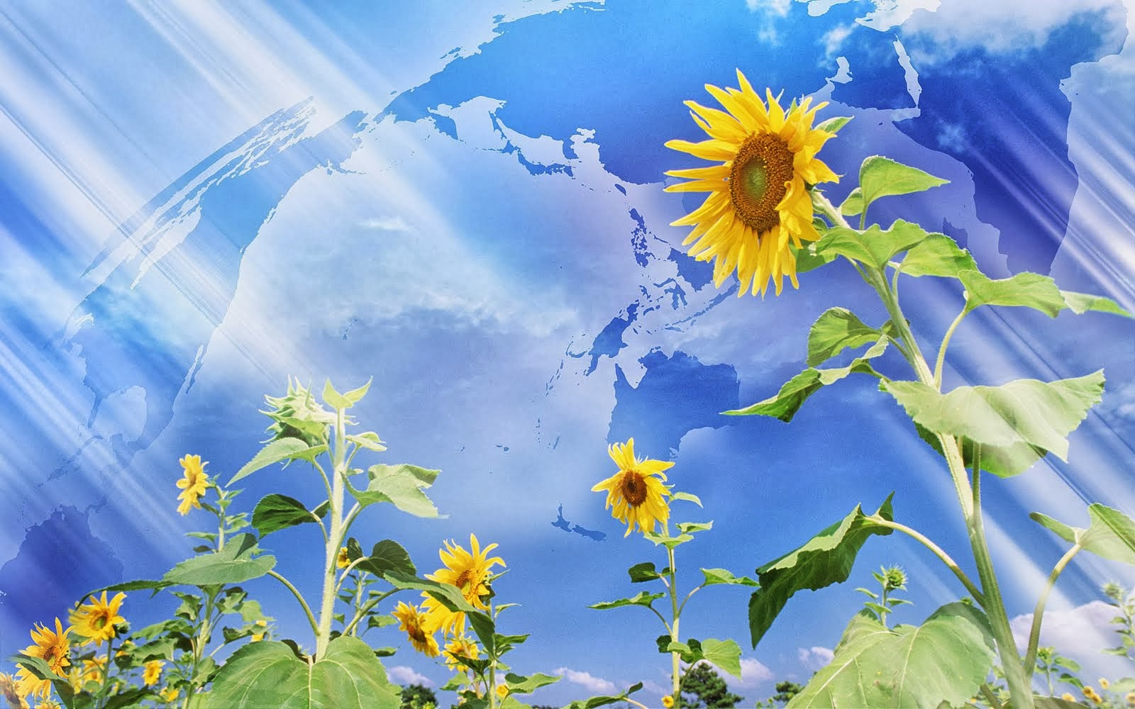Digital Wallpaper Nature nature digital hd wallpapers free hd wallpapers Digital Wallpaper Nature nature digital hd wallpapers free hd wallpapers
