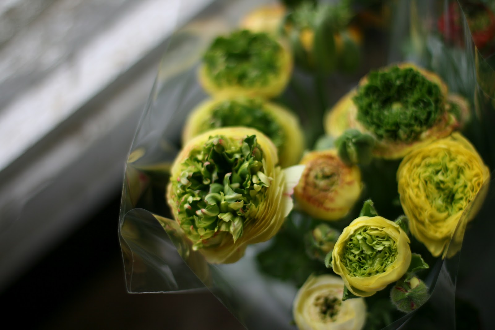 "super green" love - Floret Flowers