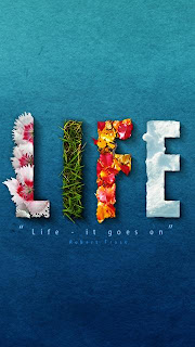 Mobile Wallpaper Picture