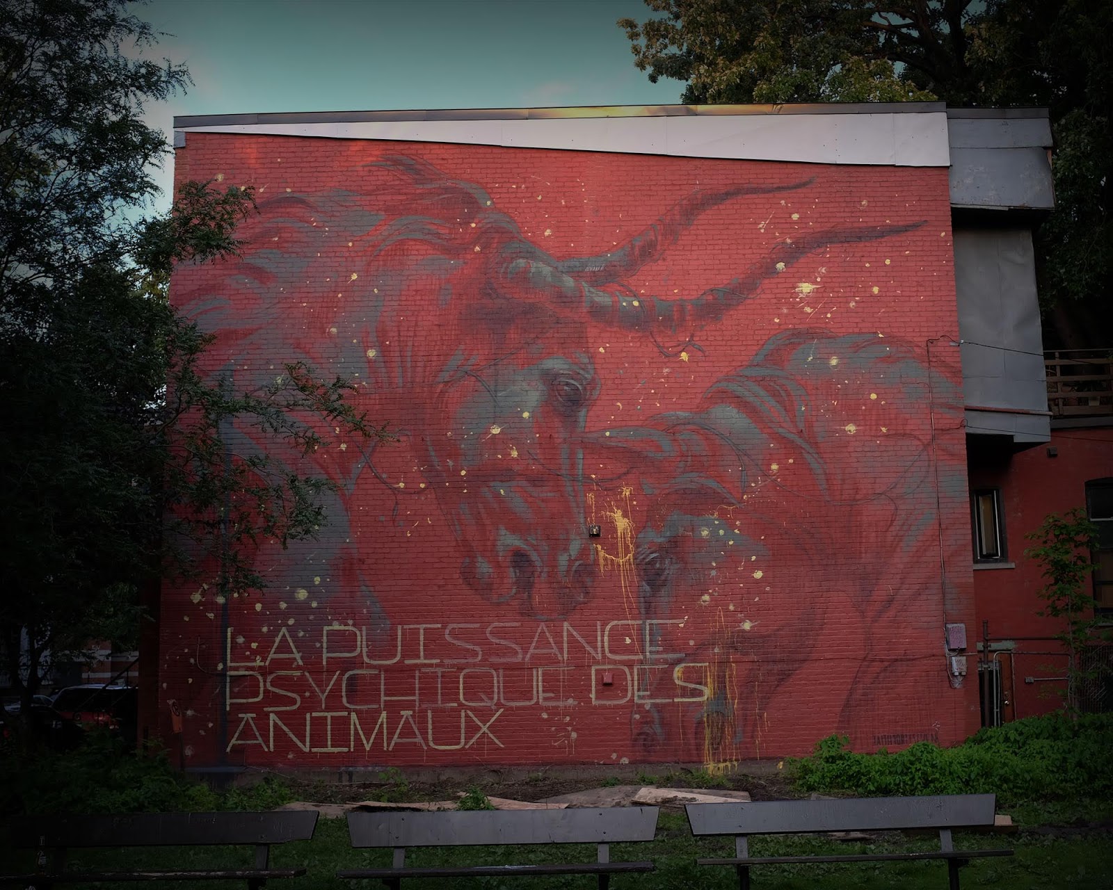 Mural '15 Faith47 unveils a new mural in Montreal, Canada