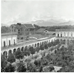 Antiguo colima