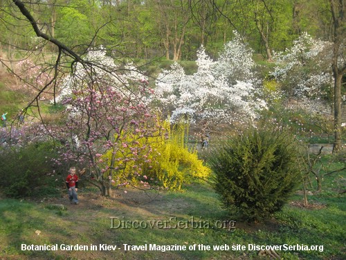 Botanical Garden Kiev