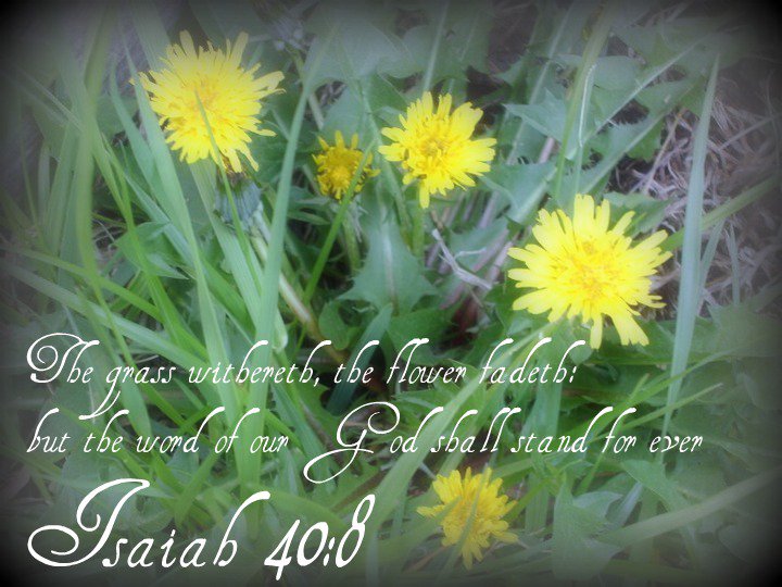 Where the Green Grass Grows... Bible Scripture Prints