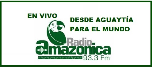 Radio en vivo