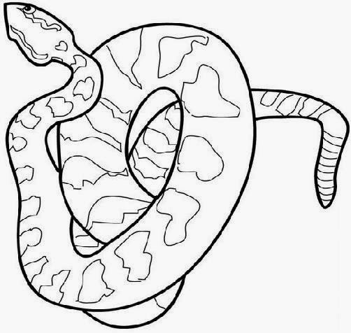 Snake To Color snake pictures to color
