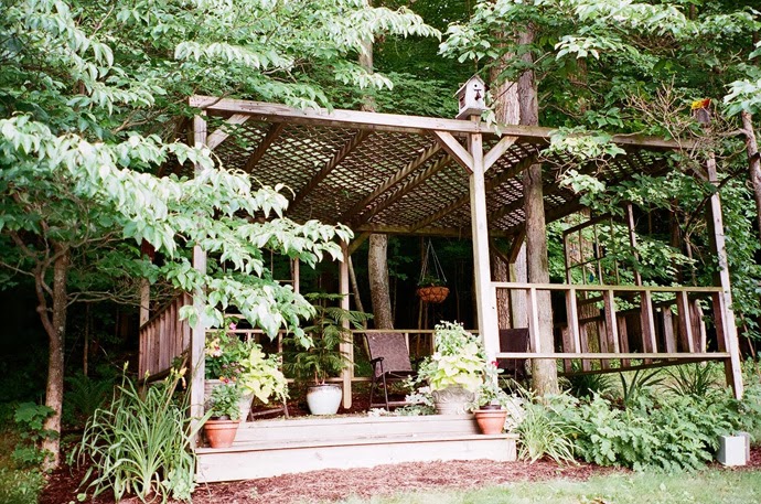 Dosis Arquitectura: Excepcionales ideas para el patio trasero de su casa.