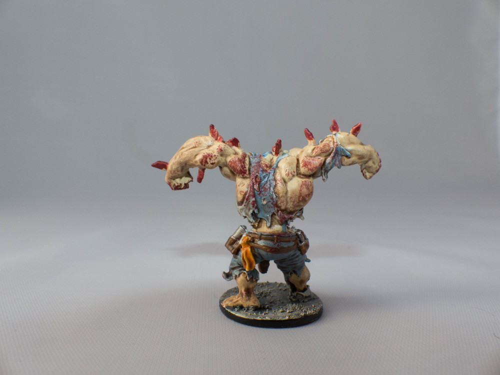 [Image: P1010851.jpg]