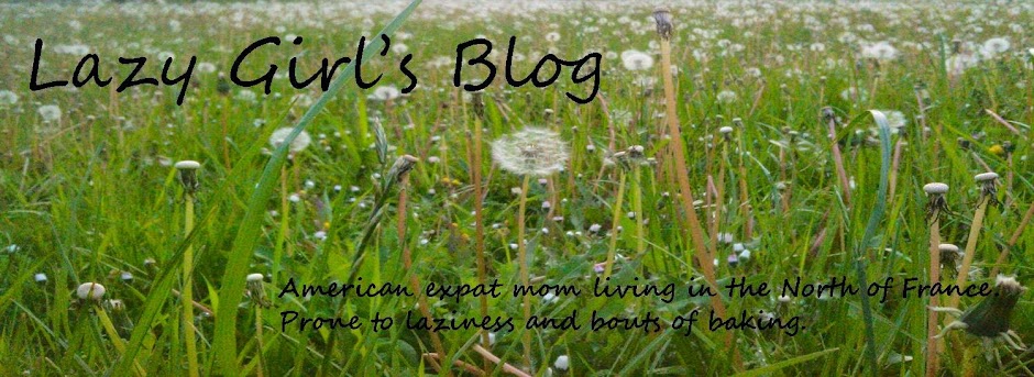 Lazy Girl's Blog