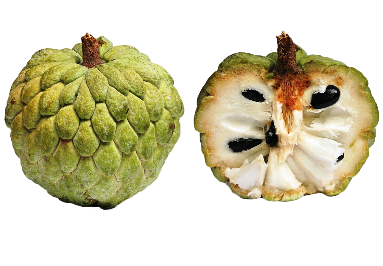 the Produce Clerk's Handbook How To Handle Cherimoya