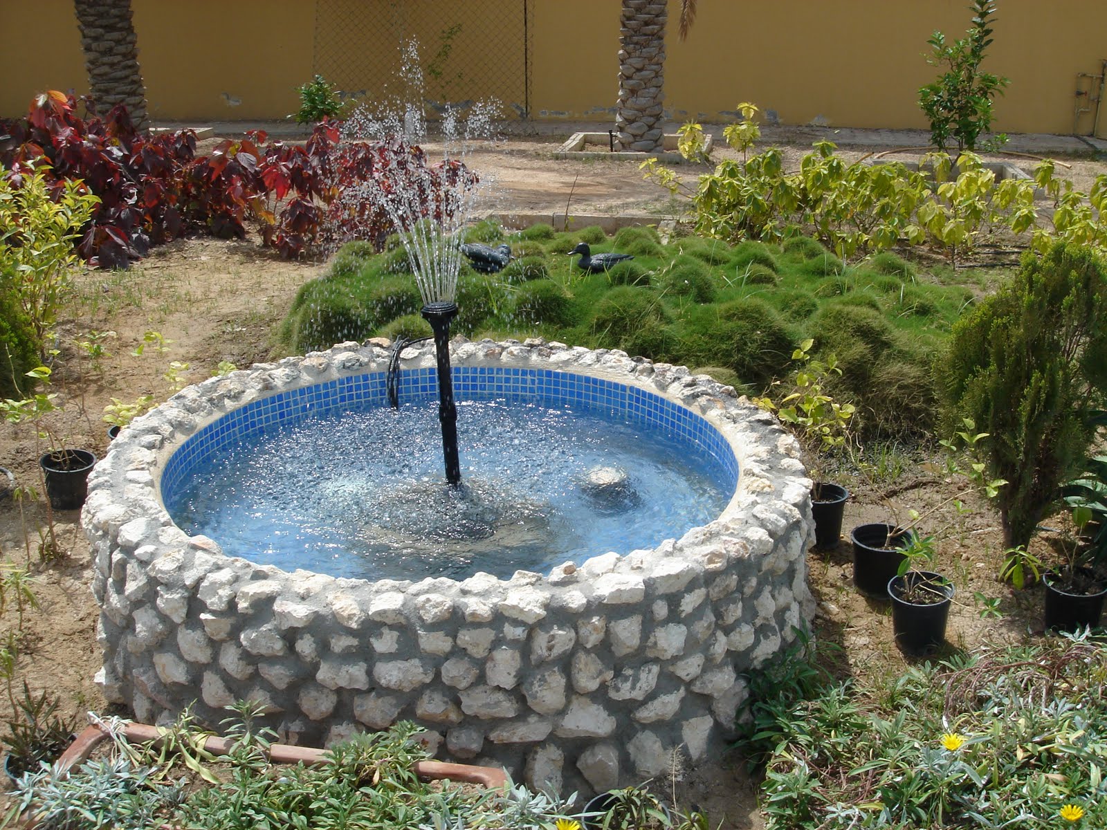 The Next Chapter, Doha, Qatar Doha Garden Tour Residence 3