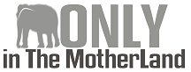 only in the motherland, Africa, logo
