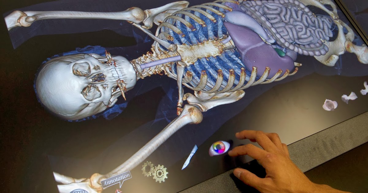 Curso de Medicina - UFPE/Caruaru: Laboratório morfofuncional do curso