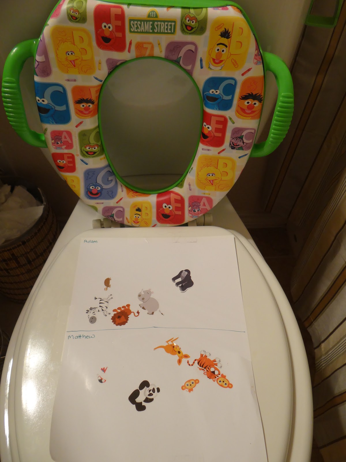 Raising Identical Twin Boys and a "Princess" Potty Training Two 2 Year