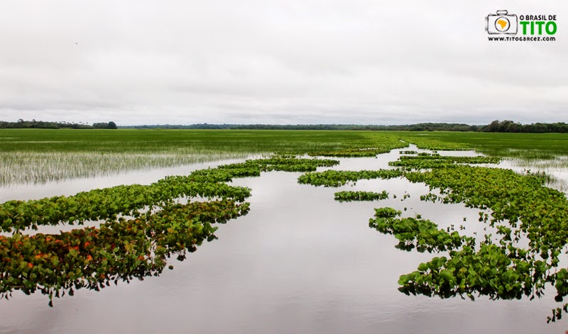 Balneário do Rio Curiaú, na APA do Rio Curiaú, em Macapá, no Amapá - Por Tito Garcez Balneário do Rio Curiaú, na APA do Rio Curiaú, em Macapá, no Amapá