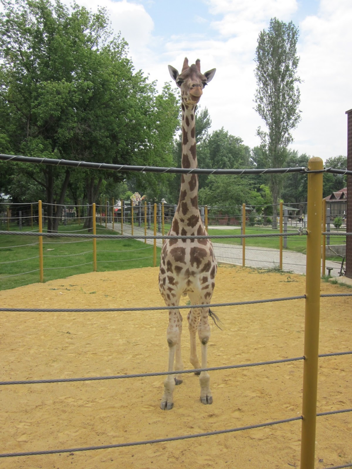 With Love From Macedonia The Skopje Zoo