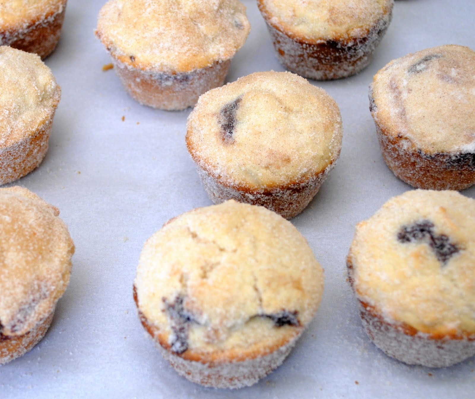 Gourmet Girl Chocolate Filled Doughnut Muffins