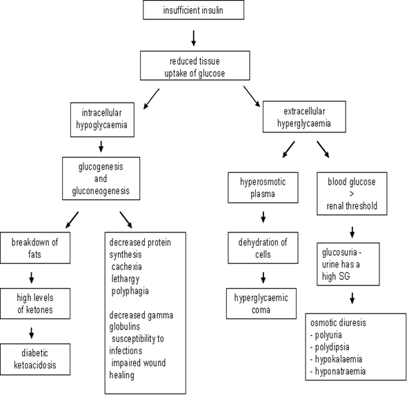 pathophysiology and care delivery plan Cesarian section case presentation - free download as word doc (doc) pathophysiology release of fsh by the anterior pituitary gland development of the graafian follicle production of estrogen nursingcribcom nursing care plan cesarian delivery. pathophysiology and care delivery plan Cesarian section case presentation - free download as word doc (doc) pathophysiology release of fsh by the anterior pituitary gland development of the graafian follicle production of estrogen nursingcribcom nursing care plan cesarian delivery.