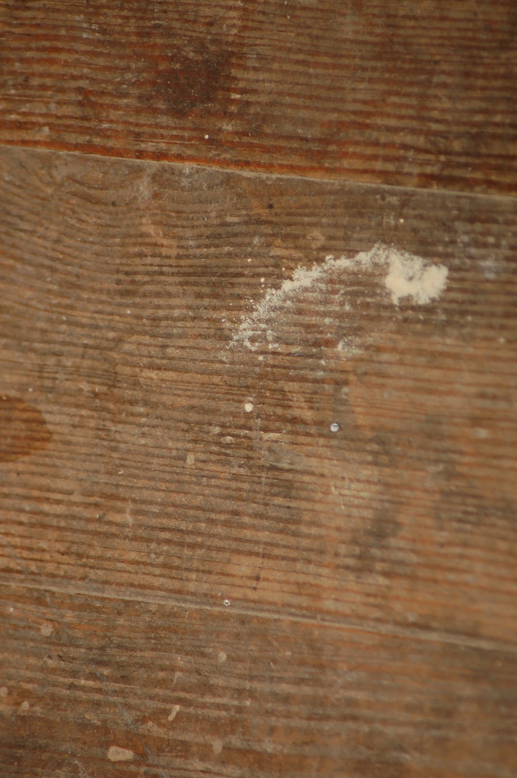 North Forty Pest Control Co. Insect Asides Upside Down Powder Post