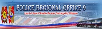 PNP Region IX Website