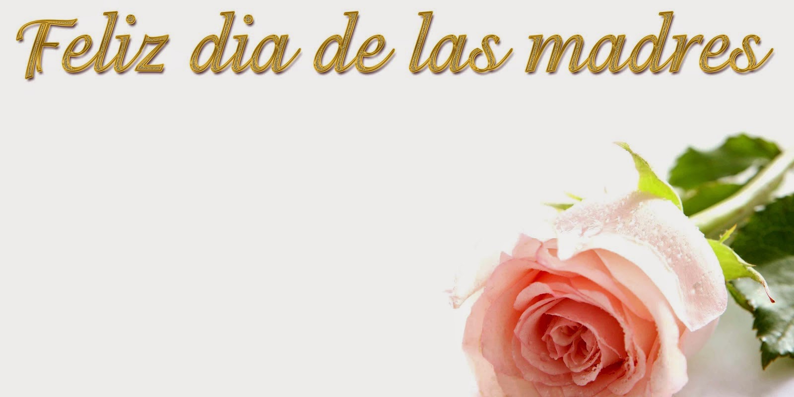 gifs y fondos paz