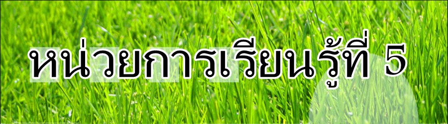 หน่วยการเรียนรู้ที่5