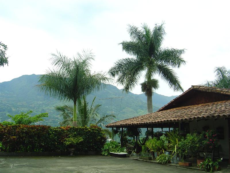 Sol, Bosques, Agua y Fincas Copacabana, Finca con Frutales.