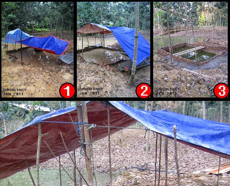 BRAIN MUSIC & MOVIE RECORDS: Projek Mini Kolam Ikan Keli diteruskan