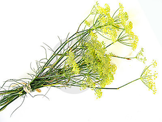 combater o inchaço e retenção de liquidos COM Recursos naturais 1