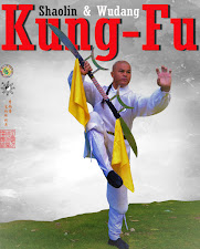 Shaolin España Kung Fu Madrid - Infantil y Adultos :Información 626 992 139