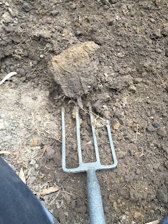 grounded GARDENS
