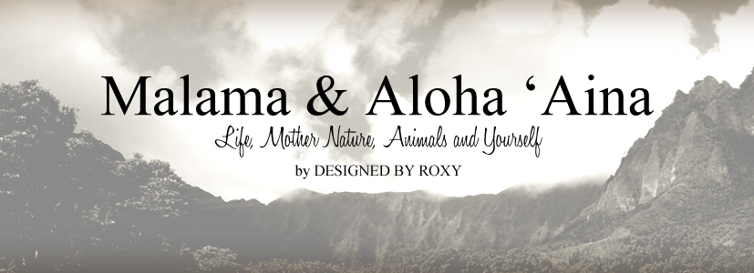 Malama & Aloha 'Aina