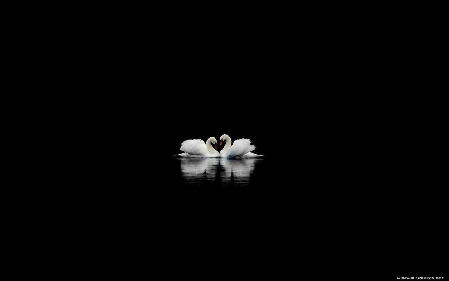 Black Wallpapers Love